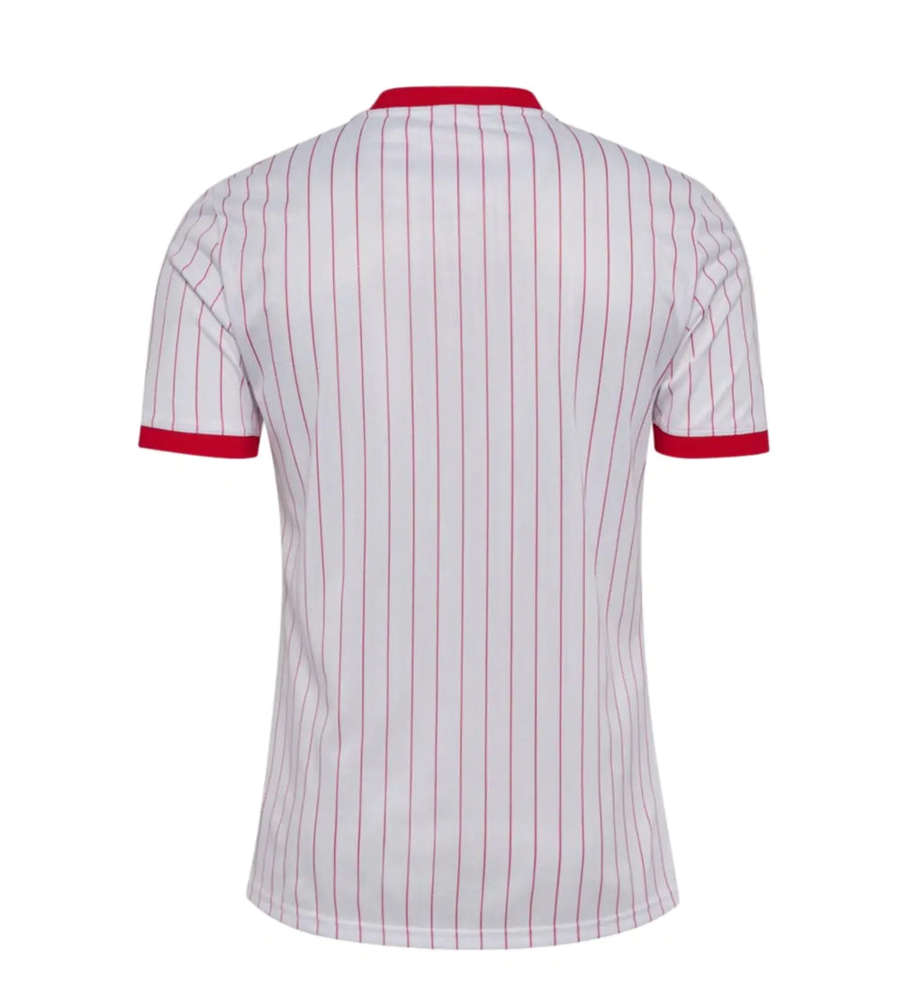 Dänemark WM 2026 Auswärtstrikot – Fan Version | TrikotZone